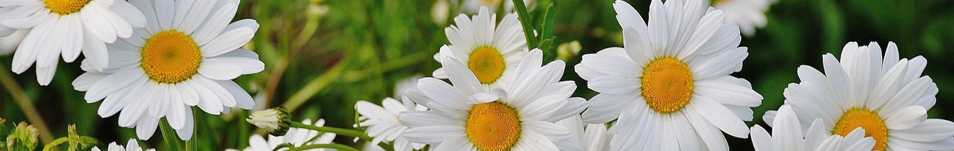 Sophrologie Paris 13 - Murielle Mori - Séances en groupe